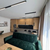 Apartament 2 cam, 53 mp, LUX, TOTUL NOU, garaj, zona Teilor thumb 3